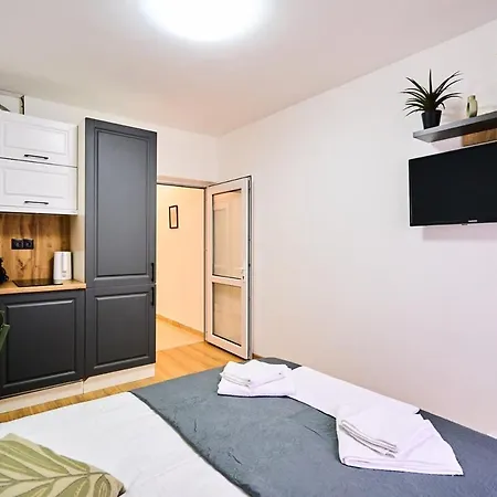Apartment Cozy One-room *